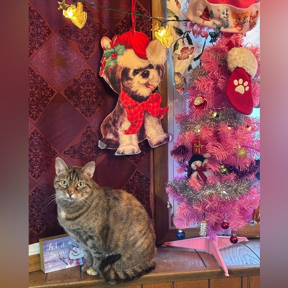 @missamytou I go LIVE every Friday & Saturday @ Noon EST! See ya there! - Picture 9 of 11